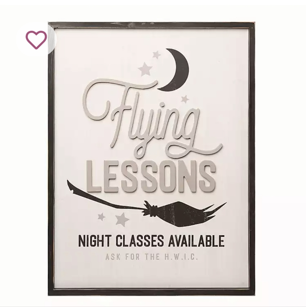 Kirklands Flying Lessons Sign 24.5x32.3